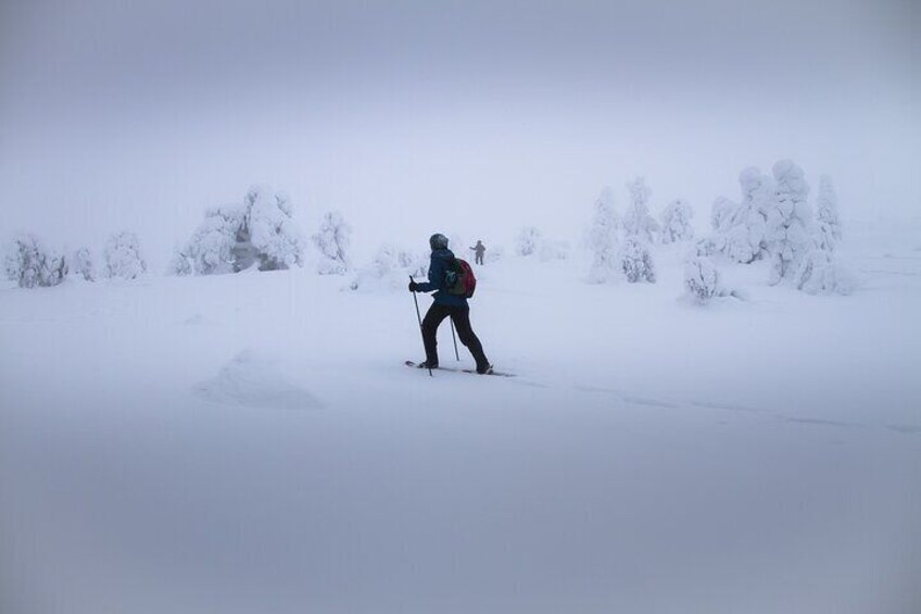 Snowshoeing Experience in Rovaniemi