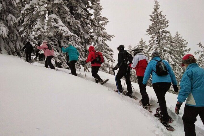 Snowshoeing Experience in Rovaniemi