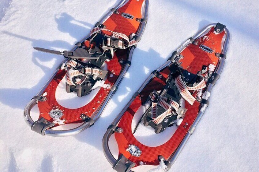 Snowshoeing Experience in Rovaniemi