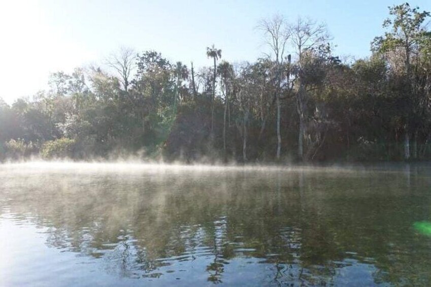 Private Chassahowitzka River Exploration kayak tour