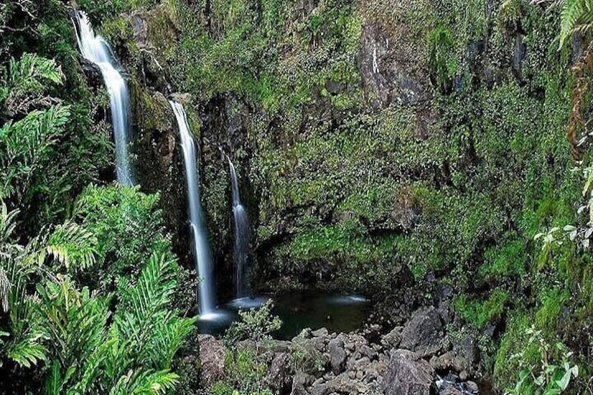 Private Road to Hana Rainforest & Waterfall Experience from Maui 