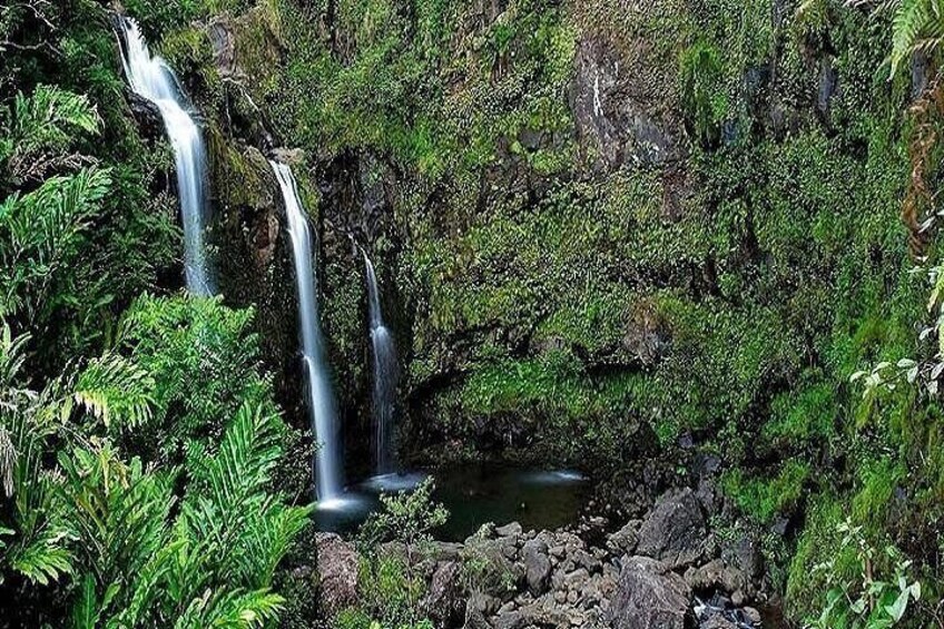 Private Road to Hana Rainforest & Waterfall Experience from Maui