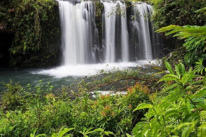 Private Road to Hana Rainforest & Waterfall Experience from Maui 