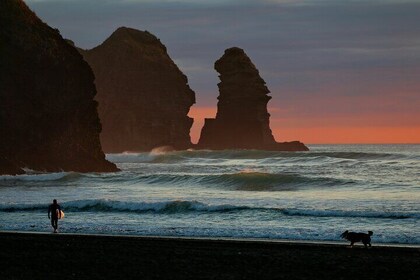 Piha Beach & Wilderness Nature : PRIVATE TOUR 8 hrs