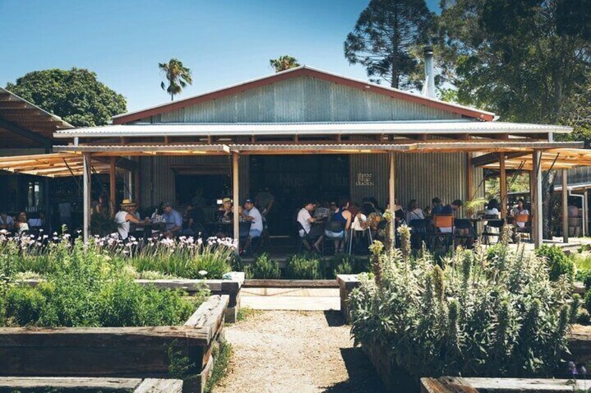 Byron Bay Day Tour Include The Farm With Chinese Speaking Guide