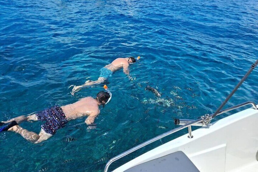 Full Day Snorkeling Tour in Cousin Curieuse and St Pierre Island