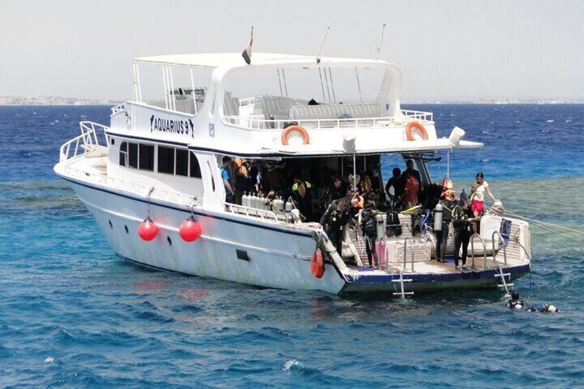 Full Day Coral Garden Diving & Snorkeling with Lunch - Marsa Alam