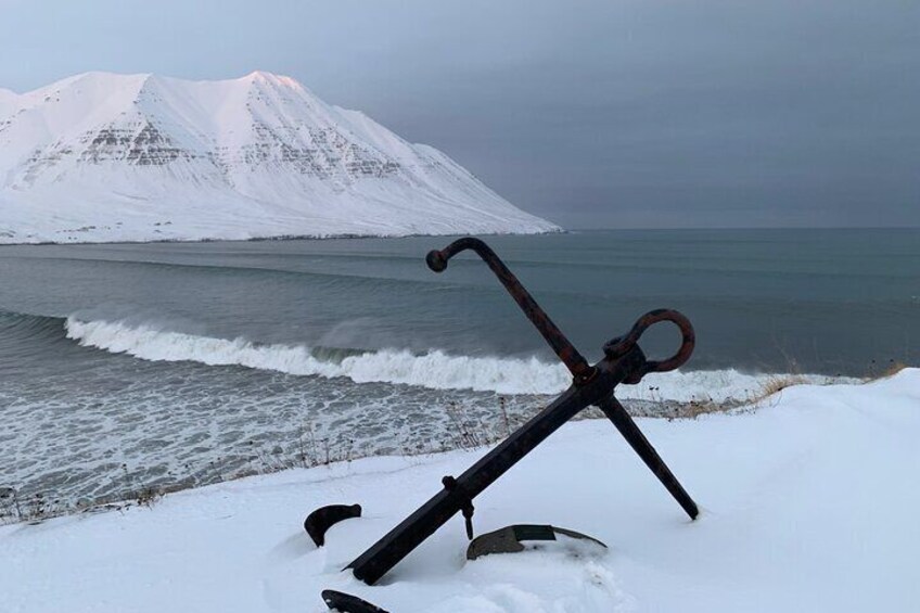 Arctic Coastline, Microbrewery and Culture Tour