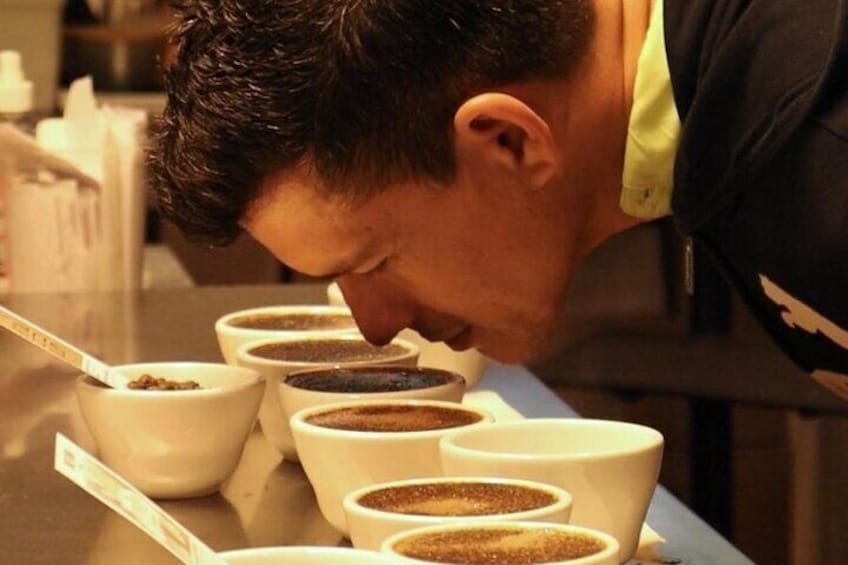 Panama Crafted Geisha Coffee Tasting Experience 