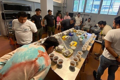 Panama Crafted Geisha Coffee Tasting Experience