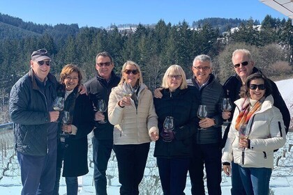 Winter Focused Willamette Valley Wine Tour (Tastings Included)