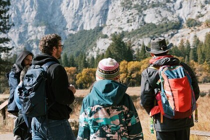 The Evolution of Yosemite 3 Hour Walking Tour