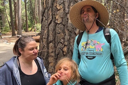 The Evolution of Yosemite 3 Hour Walking Tour