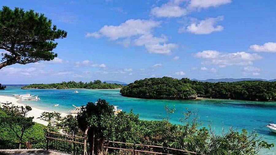 Ishigaki island, Okinawa: Kabira Bay Glass-Bottom Boat Tickets