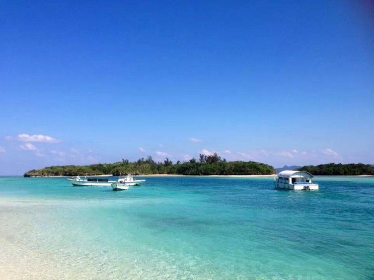 Ishigaki island, Okinawa: Kabira Bay Glass-Bottom Boat Tickets (0.5 hours) 