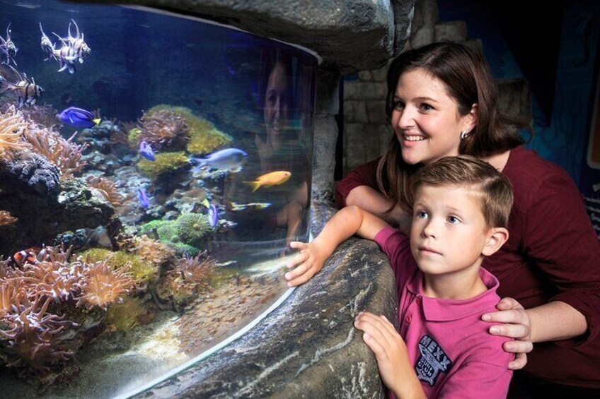Coral Reef at SEA LIFE Timmendorfer Strand