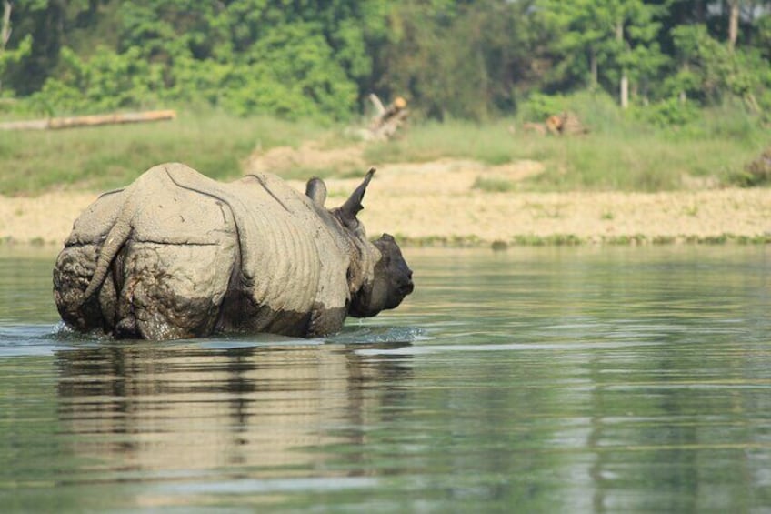 From Kathmandu: Private 3-Day Chitwan Safari Tour