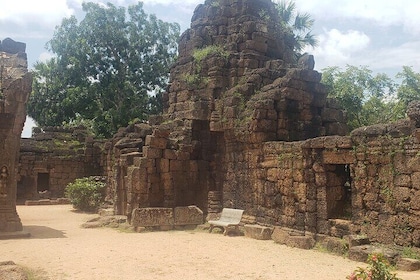 Chisor Ta Moa Zoo Ta Prohm Tour