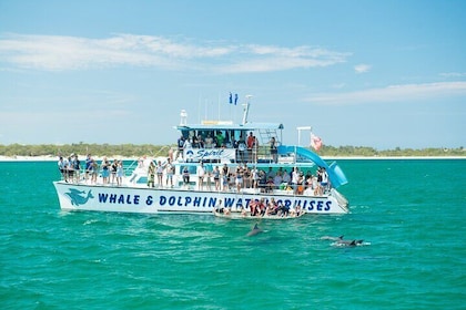 Port Stephens: Splash 'n' Slide Dolphin Cruise