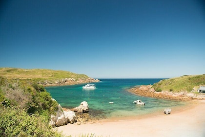 Port Stephens: Broughton Island Cruise