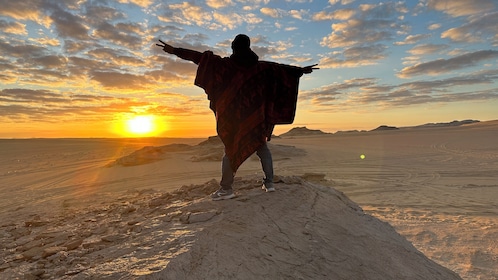 Desde El Cairo: baño de azufre y lago salado, safari por el desierto y reco...