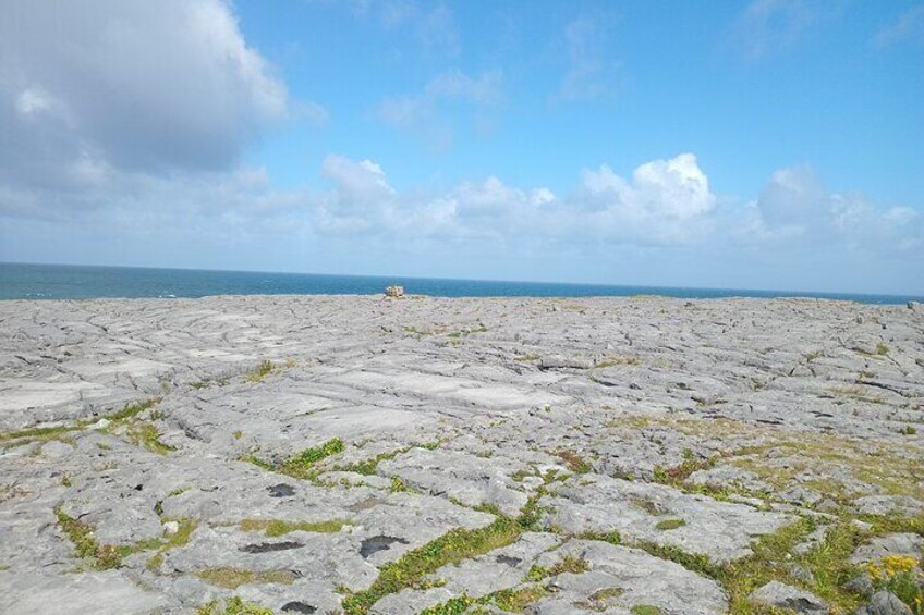 Private Day Trip Cliffs of Moher from Dublin