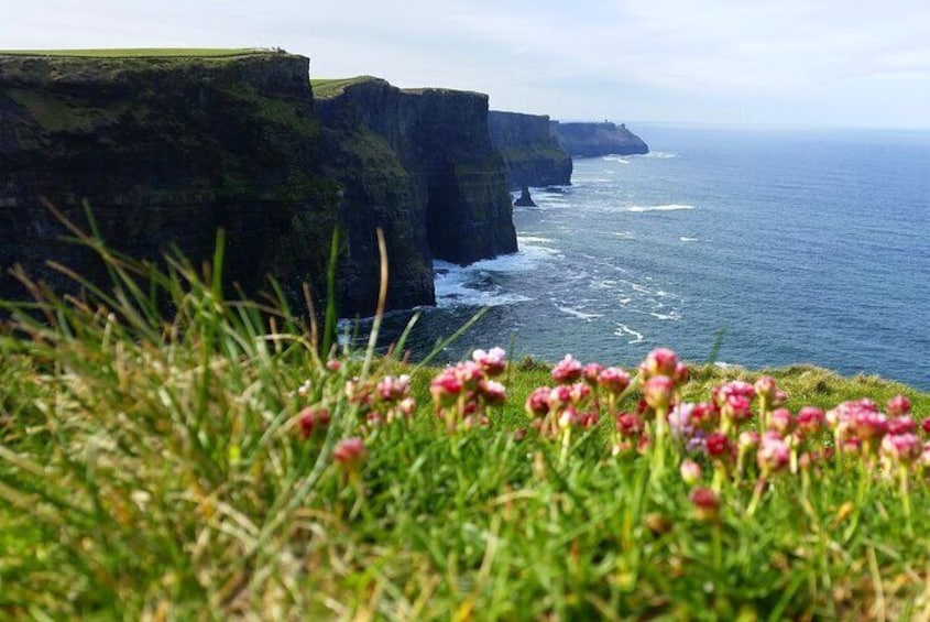 Private Day Trip Cliffs of Moher from Dublin