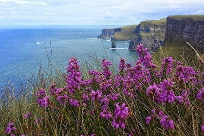 Private Day Tour Cliffs of Moher from Dublin