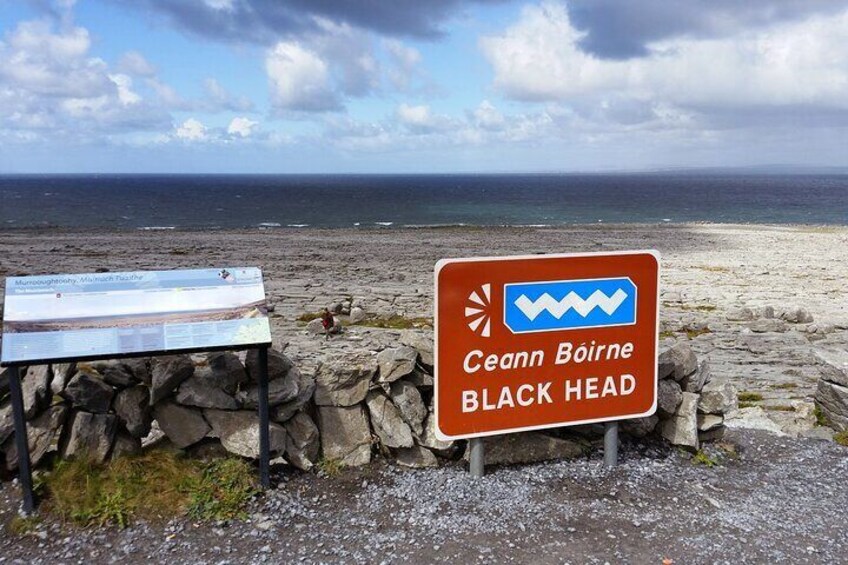 Private Day Trip Cliffs of Moher from Dublin