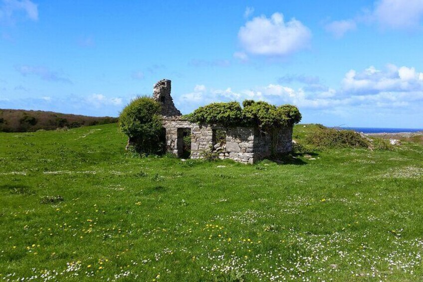 Private Day Trip Cliffs of Moher from Dublin