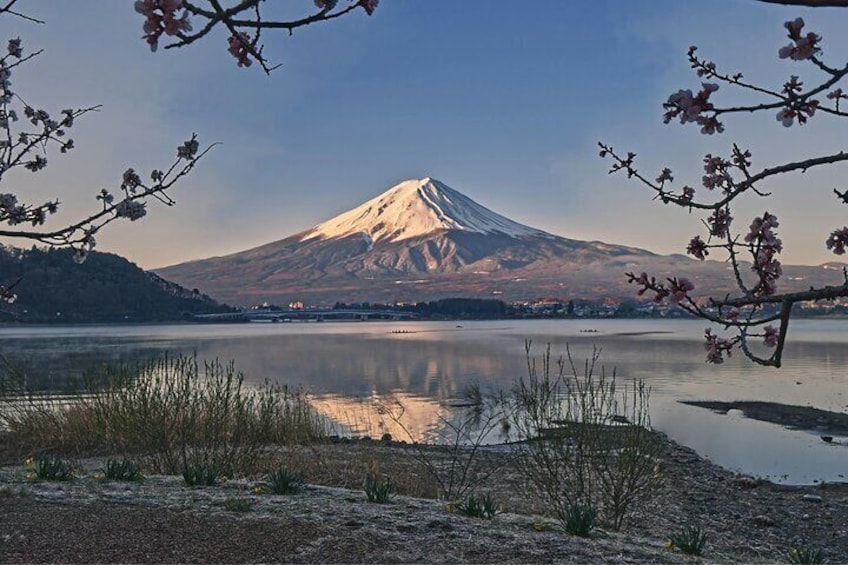 Customizable Private Tour in Mt. Fuji with Private Driver