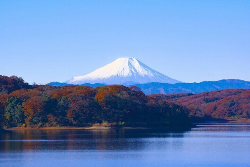 Customizable Private Tour in Mt. Fuji with Private Driver