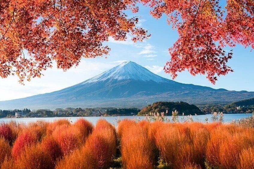 Customizable Tour in Mt. Fuji with Private Driver