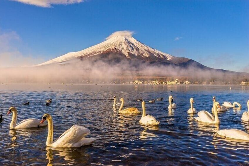 Customizable Tour in Mt. Fuji with Private Driver