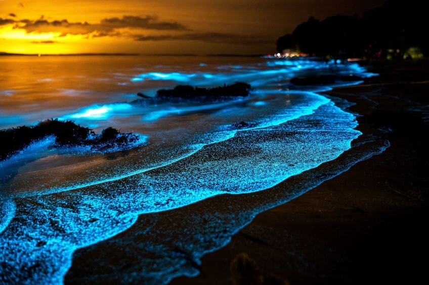 Twiligth Sea Canoe and Bioluminescent Plankton 