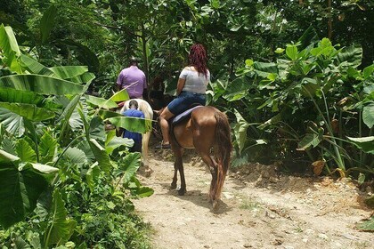 Cabalgata 'Ride N Swim' y Dunns River Falls desde Montego Bay