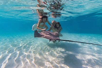 Snorkelling Tour in Moorea Aquatic Adventure Half Day