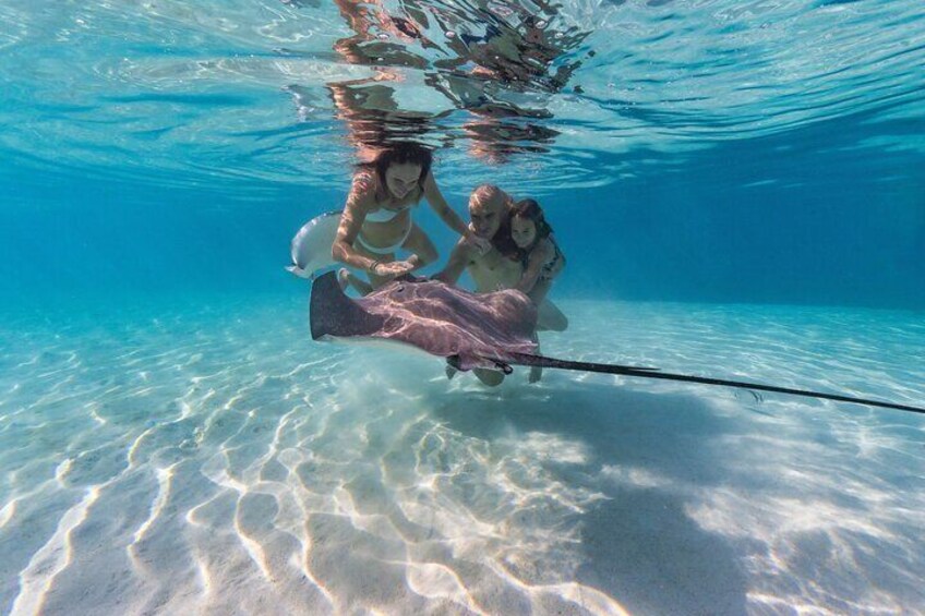 Snorkeling Tour in Moorea Aquatic Adventure Half Day