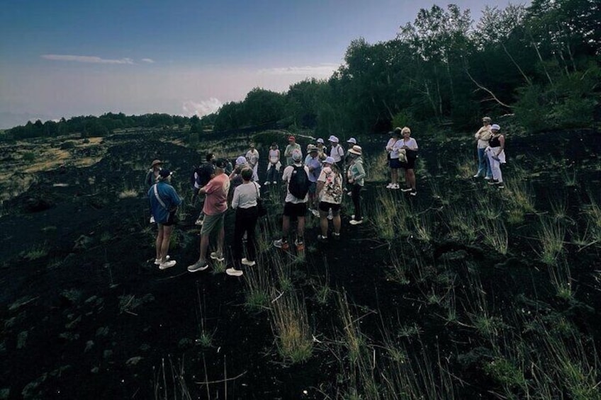 Etna Private Tour From Giardini Naxos and Taormina