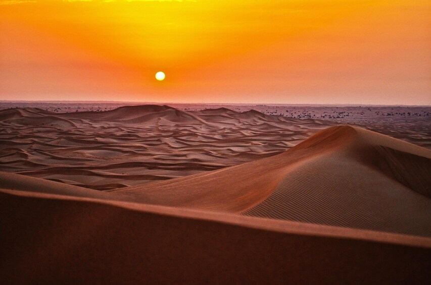Sunrise Desert Safari on Sharing Basis in Abu Dhabi