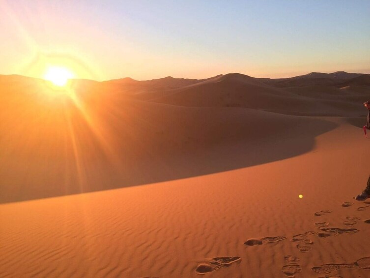 Sunrise Desert Safari on Sharing Basis in Abu Dhabi