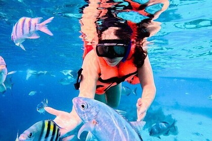 Snorkelling Tour and All-inclusive Beach Club from Costa Maya