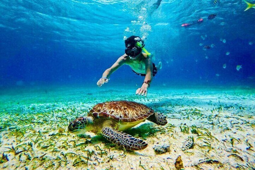 Snorkeling and All Inclusive Beach Club from Costa Maya