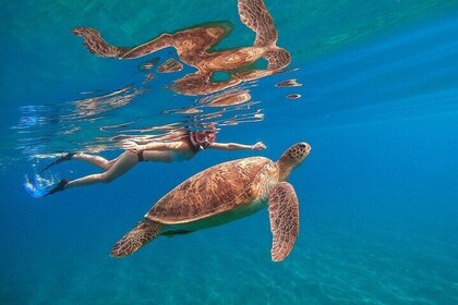 Viaje de snorkel en Marsa Mubarak con almuerzo y traslado – Marsa Alam