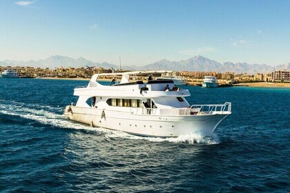 Barco privado a la isla de Hula Hula con almuerzo y traslado - Hurghada