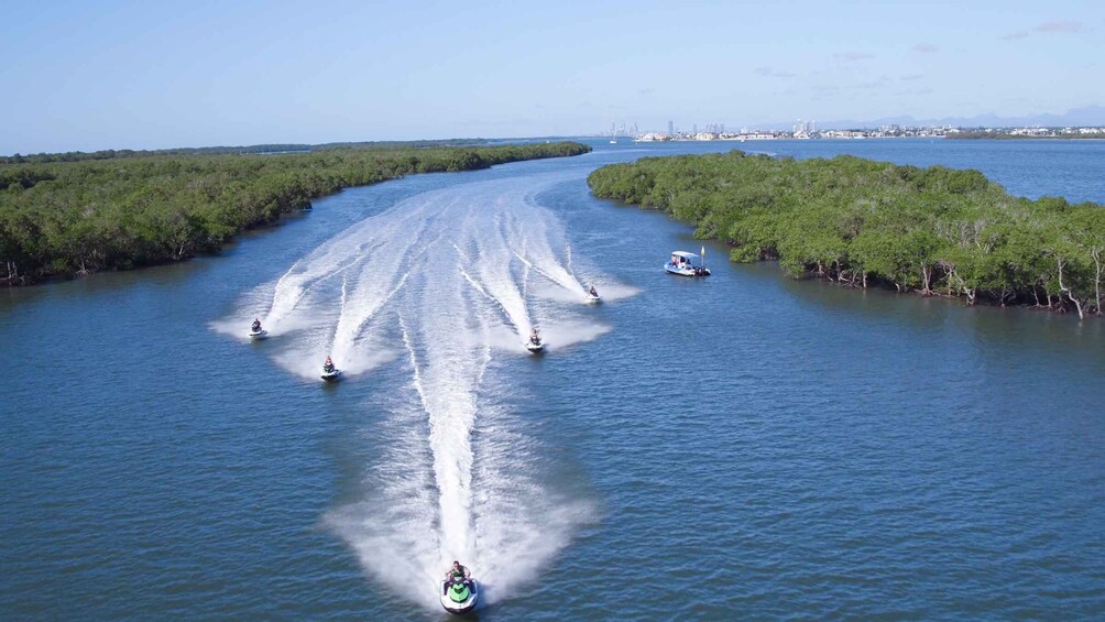 Picture 3 for Activity Whale Watching for 2 plus 30 Minute Jet Ski Safari
