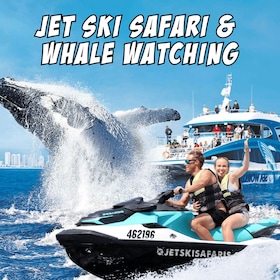 Whale Watching for 2 plus 30 Minute Jet Ski Safari