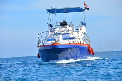 Barco privado a la isla Magawish con almuerzo y traslado - Hurghada
