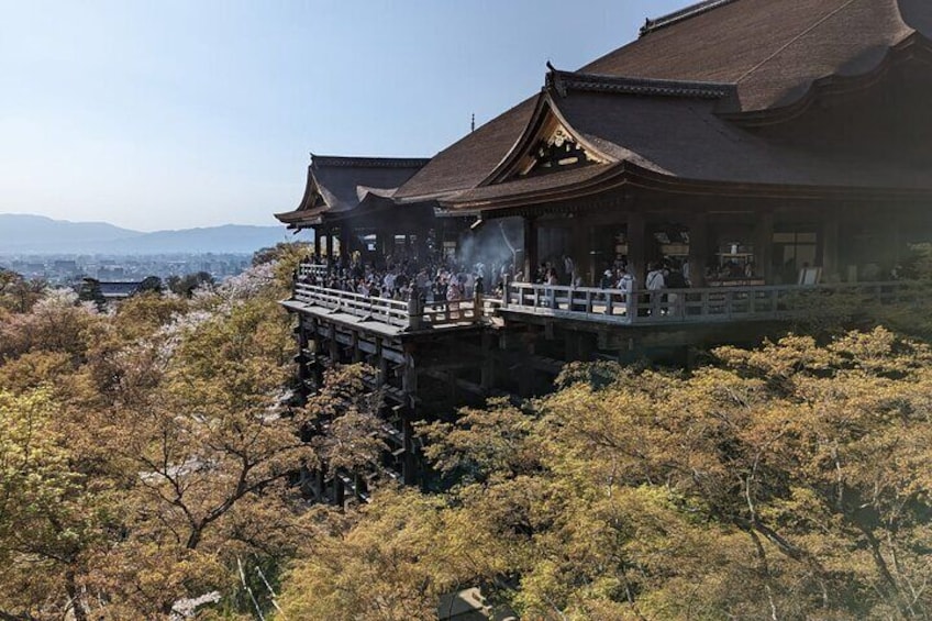 8 Hour Private Tour of Kyoto