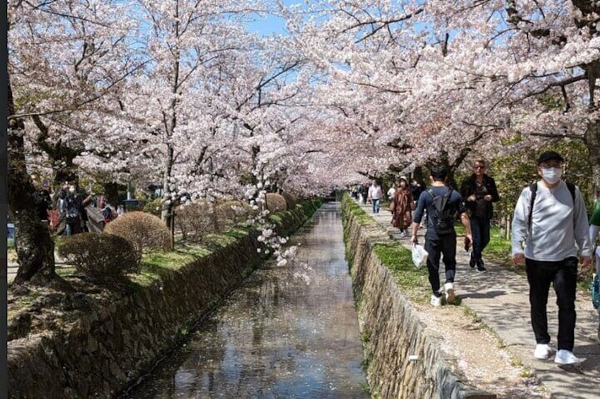 8 Hour Private Tour of Kyoto